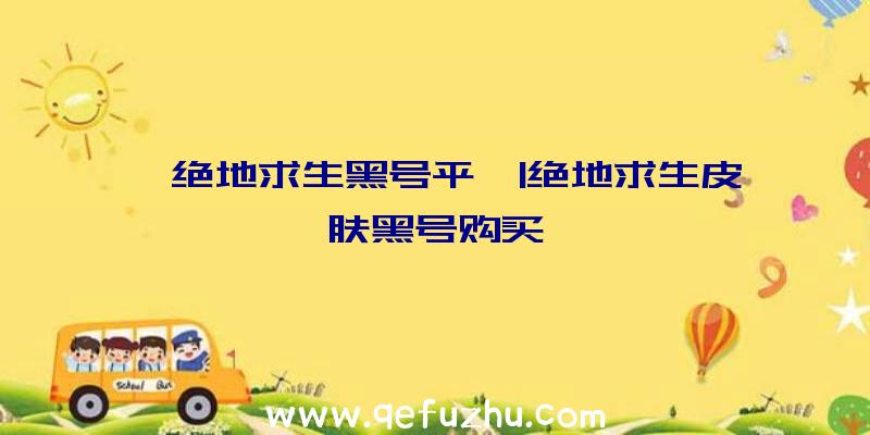 「绝地求生黑号平」|绝地求生皮肤黑号购买